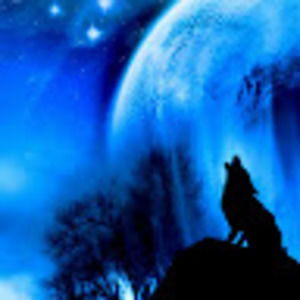 Meet your Posher, Roger